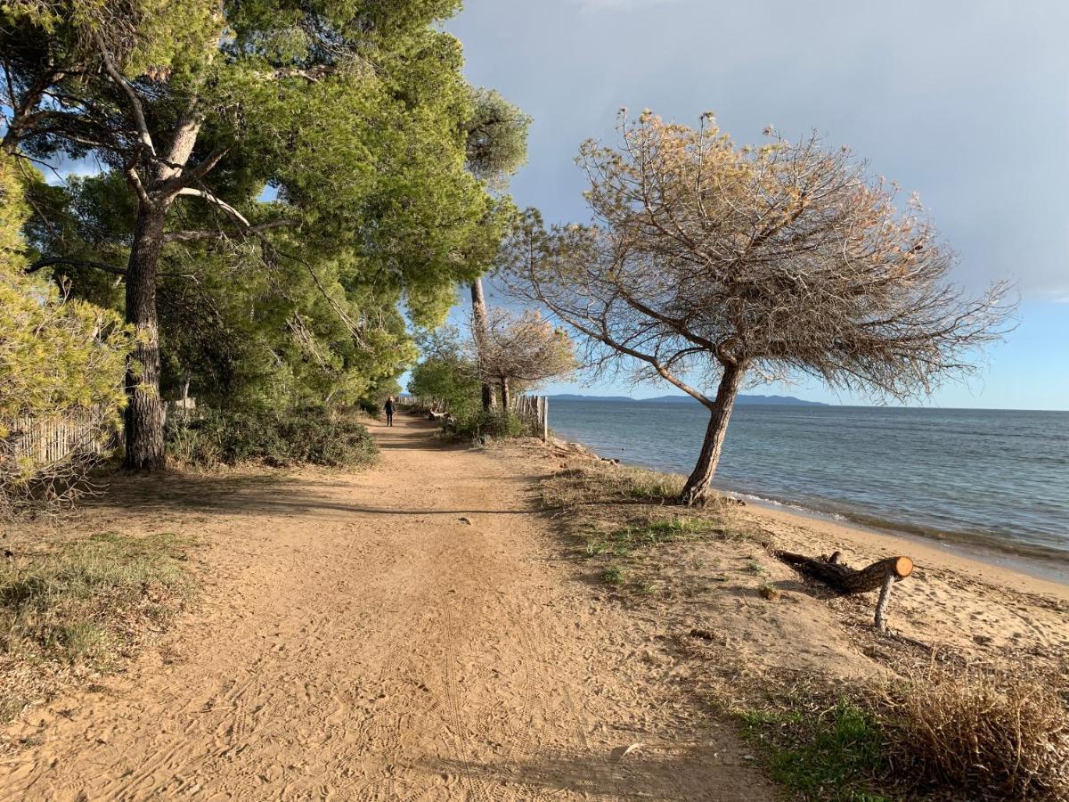 דירות לה-לונד-לה-מורה T2 Climatise A L'Ile D'Or Avec Piscine Pres De La Plage מראה חיצוני תמונה